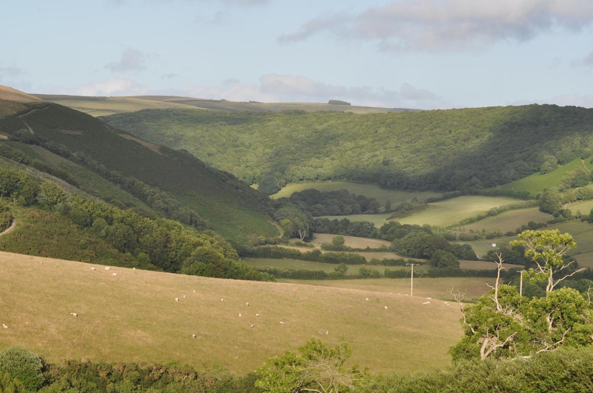 Bed and Breakfast Coombe Farm Lynton Exteriér fotografie
