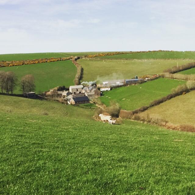Bed and Breakfast Coombe Farm Lynton Exteriér fotografie